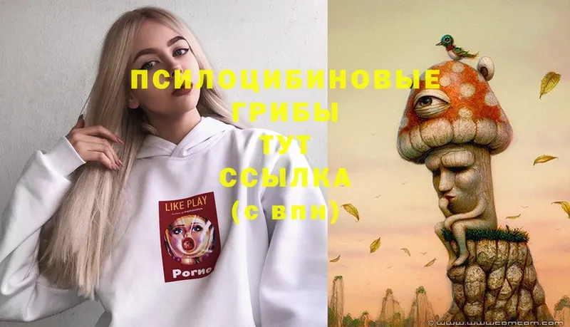 Галлюциногенные грибы Magic Shrooms  Октябрьск 